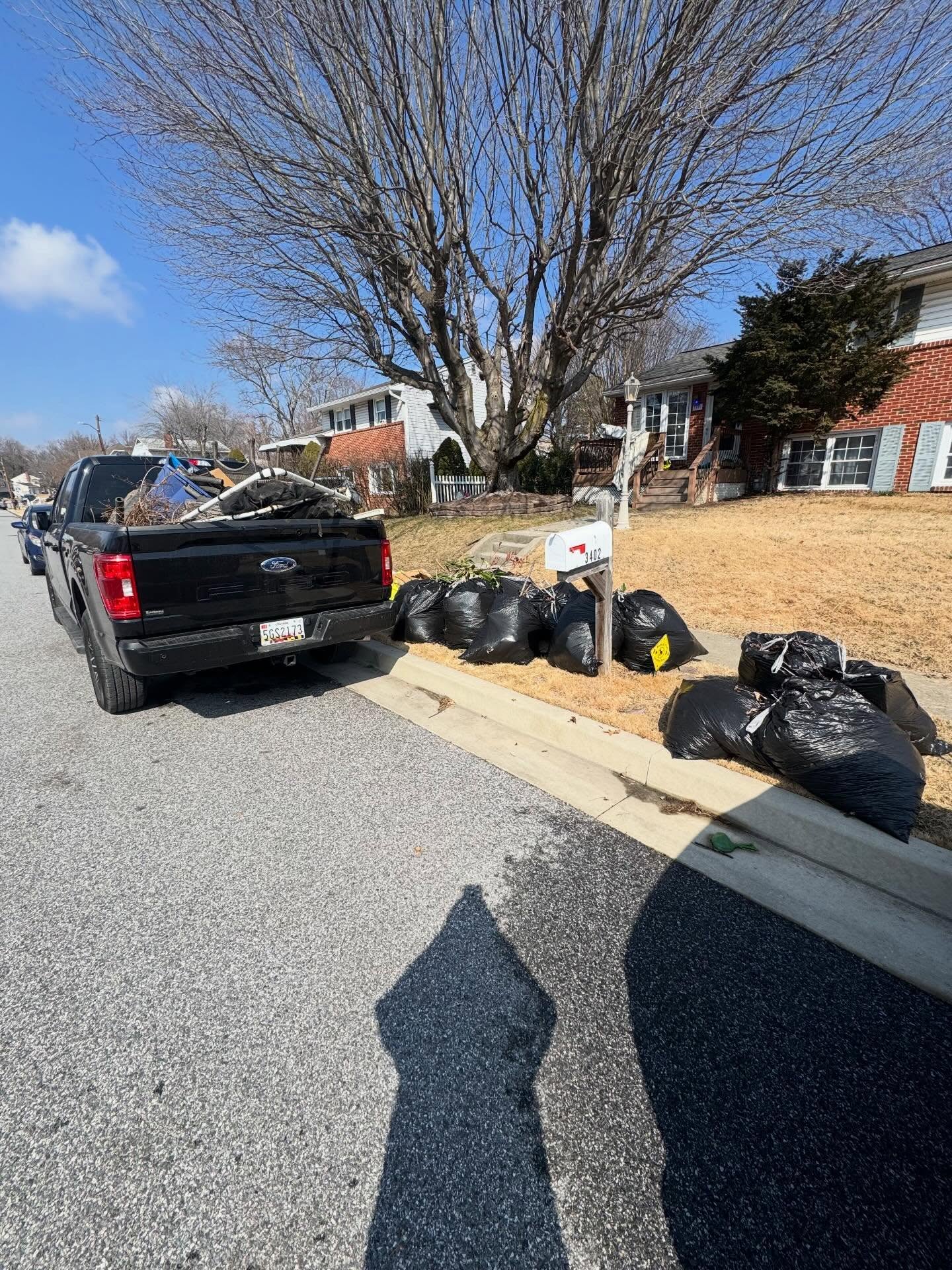 Yard cleanup with bagged debris ready for pickup