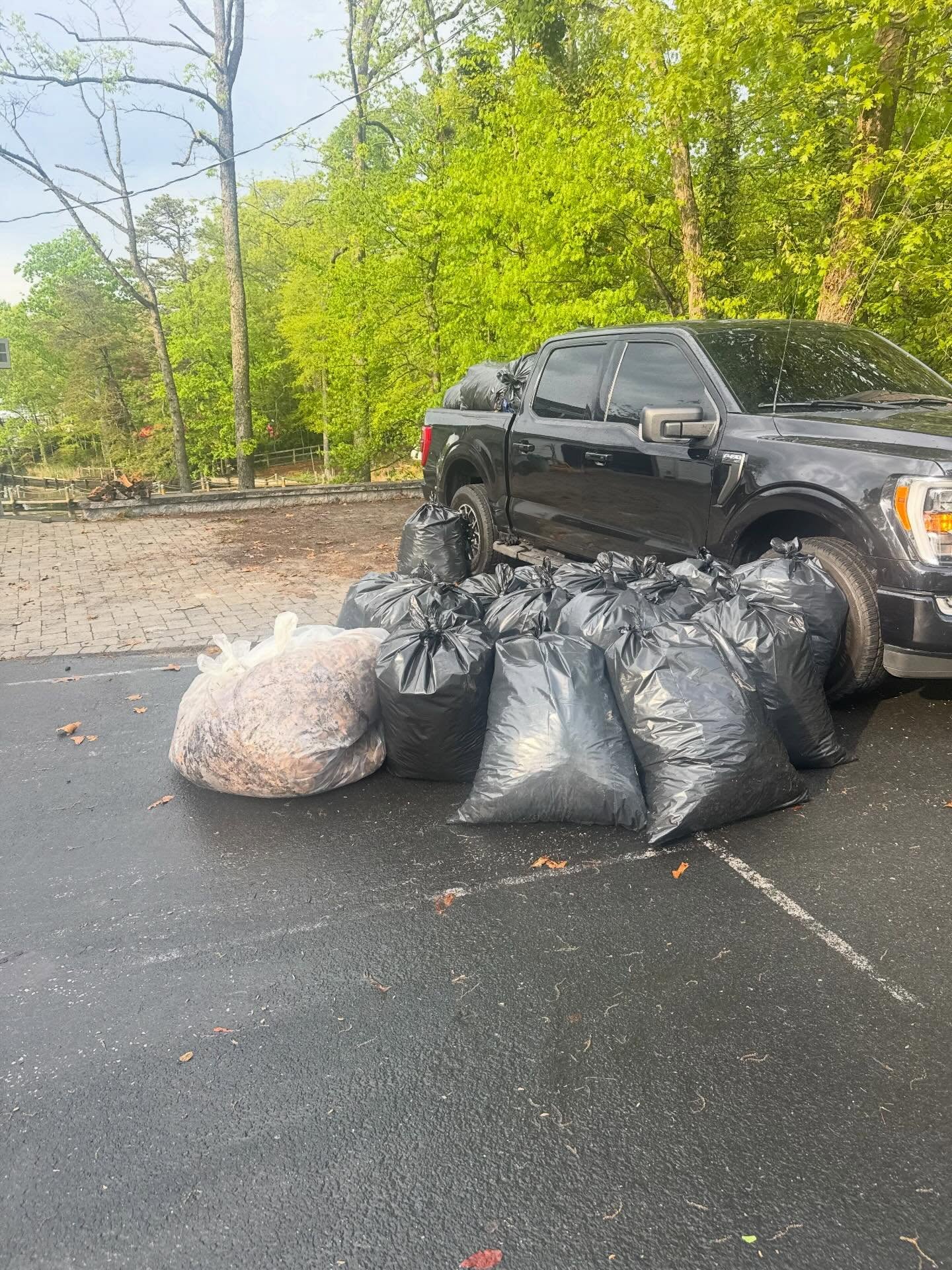 Bagged junk loaded for disposal